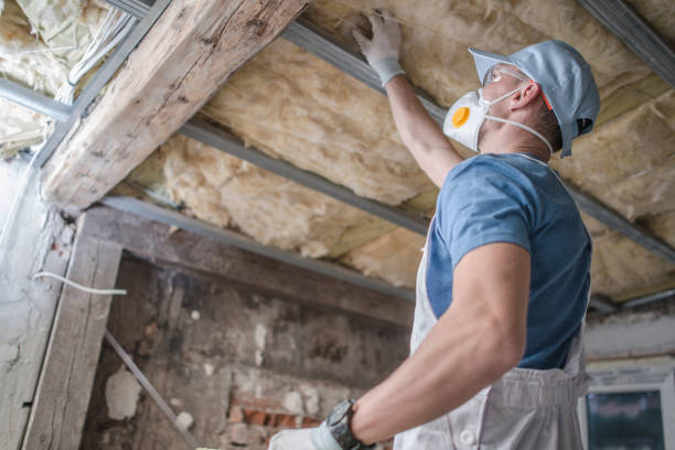 Best Geographic-Specific Insulation Services in Pearisburg, VA