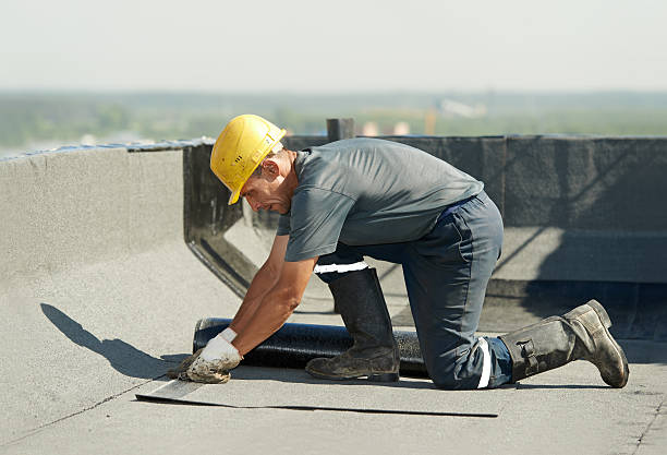 Best Cellulose Insulation in Pearisburg, VA