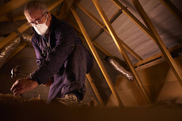Best Insulation Maintenance and Repair in Pearisburg, VA