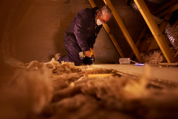 Best Specialized Insulation Services in Pearisburg, VA
