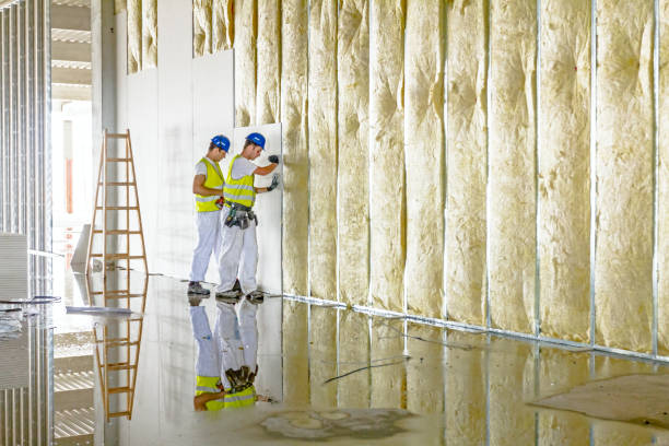Best Insulation Maintenance and Repair in Pearisburg, VA